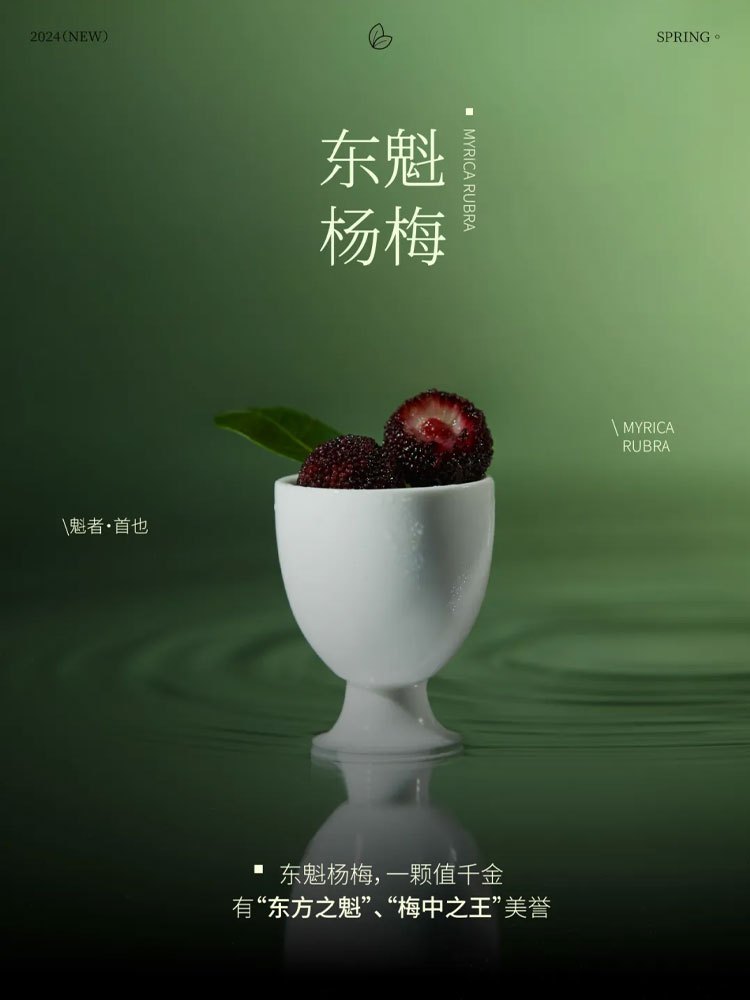 Early Summer Debut Jiangnans Exquisite Plum and Lychee Drink