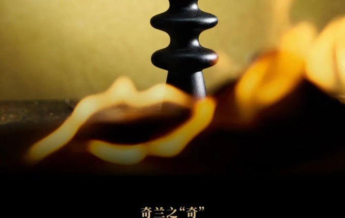 INCHA Autumn New Tea Beverages  Discover New Flavors Sip the Entire Autumn