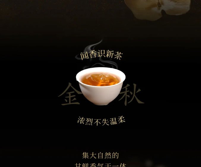 INCHA Autumn New Tea Beverages  Discover New Flavors Sip the Entire Autumn