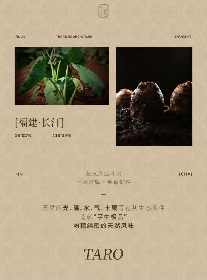 Taro  Chestnut Warm Handcrafted Delight