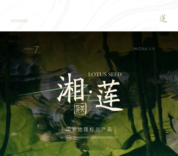 First cup of milk tea in 2025 may good luck come like a lotus