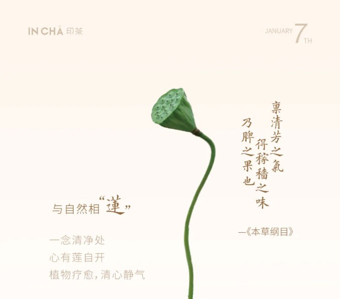 First cup of milk tea in 2025 may good luck come like a lotus